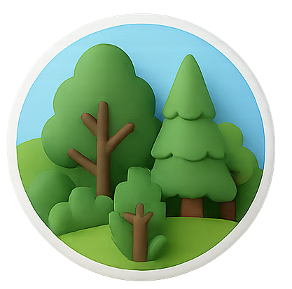 Imagem de uma floresta